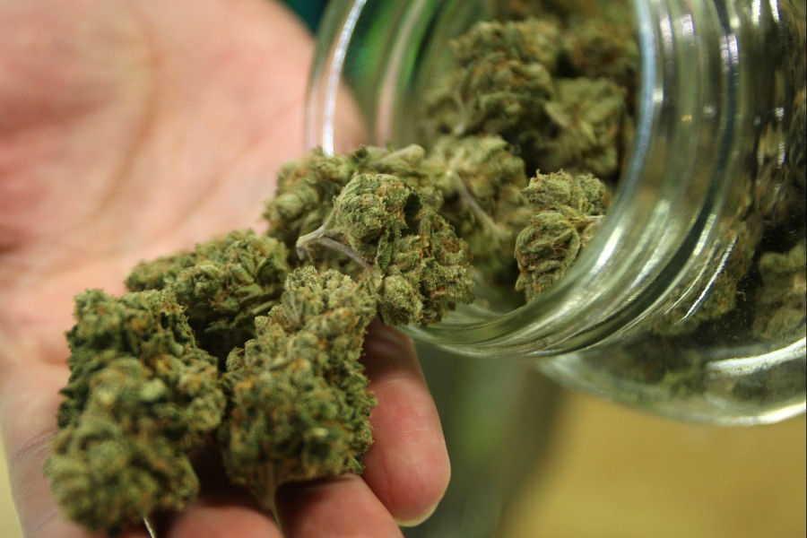 Uruguay: mañana comienza la venta de marihuana legal en 16 farmacias