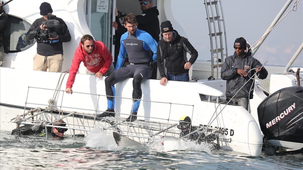 VIDEO: Phelps vive el «gran desafío» de nadar contra un tiburón blanco