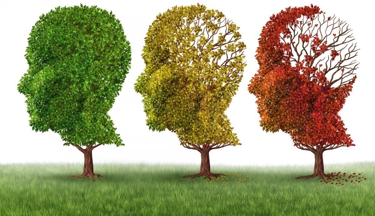 Cambios en el estilo de vida pueden reducir la demencia, según estudio