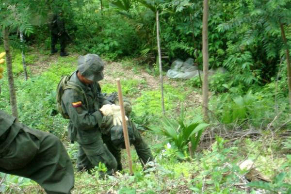 Colombia: exguerrilleros de las Farc entregan sus últimas armas a la ONU