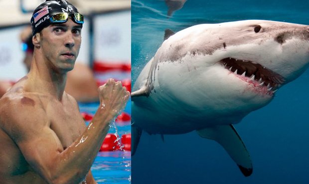 Michael Phelps pierde la carrera contra un tiburón blanco