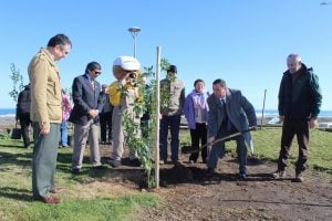 Con árboles nativos restauran área verde del Parque Costanera La Lobería de Cobquecura