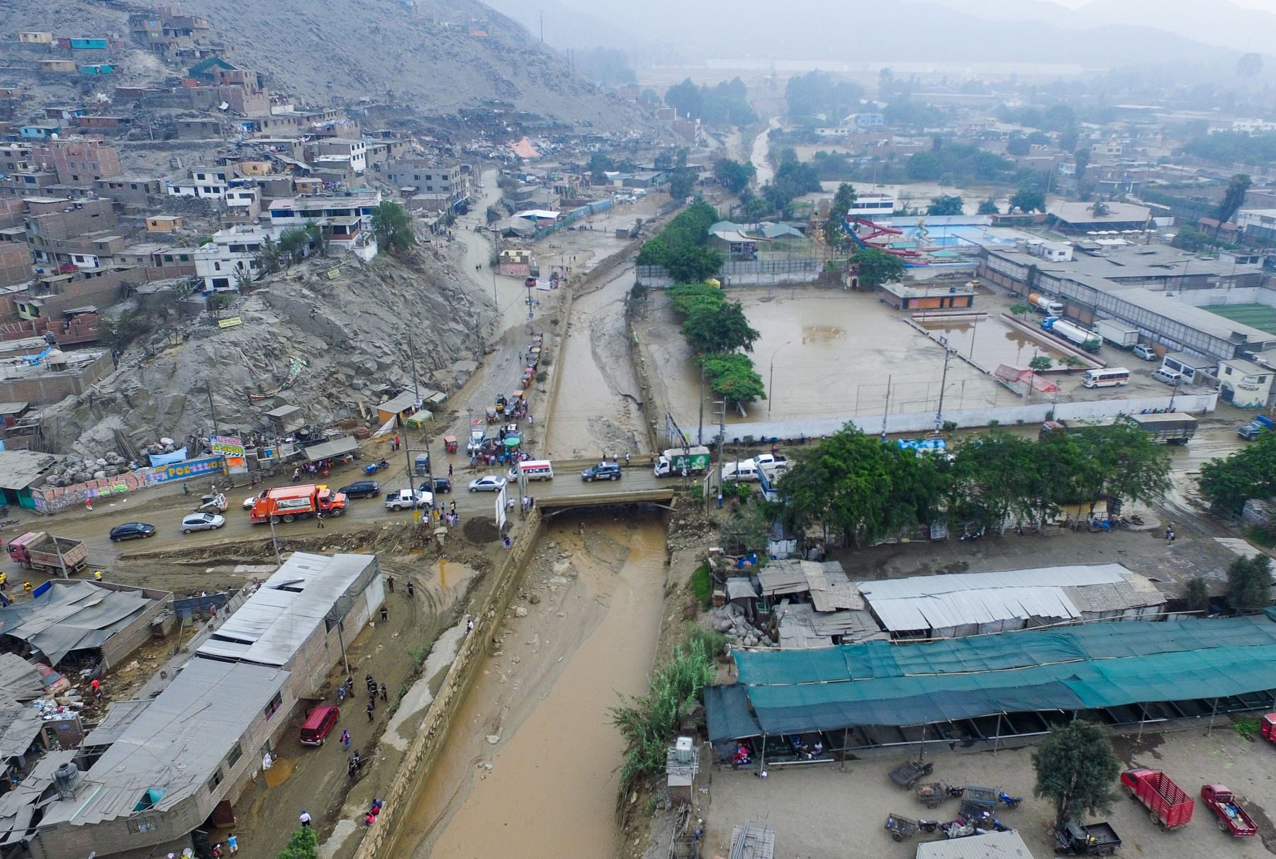 Perú: Más de 10.000 árboles crecen en zona desértica tras inundaciones en Piura