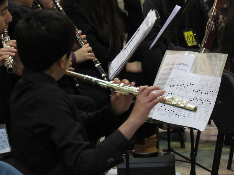 Banda Sinfónica «Cecamba» ofrecerá conciertos gratuitos, chécalos