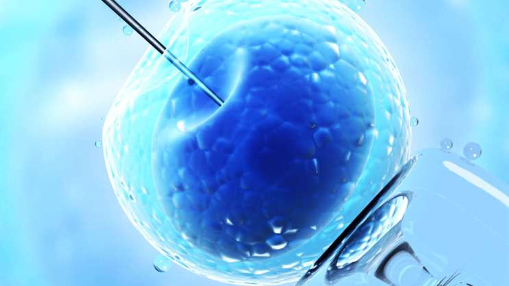 Científicos logran hito histórico al reparar mutación en embriones humanos usando edición de genes
