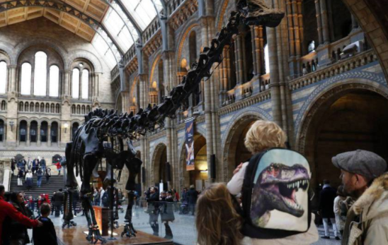 Un niño británico de 10 años corrige al Museo de Historia Natural de Londres
