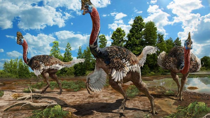 Corythoraptor jacobsi: El nuevo dinosaurio descubierto en China