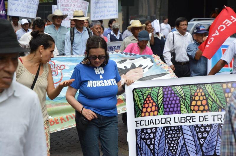 Ecuador: agricultores marchan en contra de las semillas transgénicas