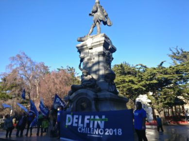 Candidato Delfín Chileno:  “Magallanes es la región símbolo de la destrucción de los mares de Chile”