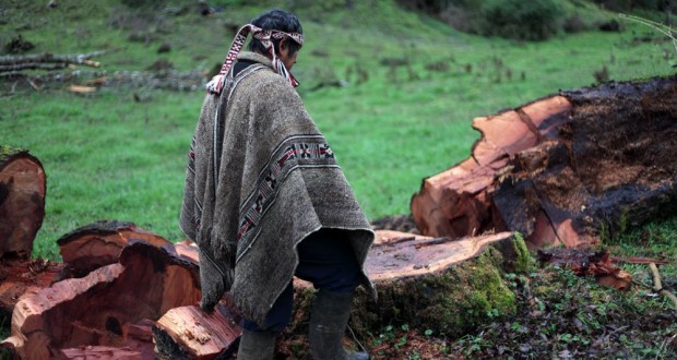 Caso Iglesia: Justicia instruye entregar a defensa de mapuches informe con declaración de 12 testigos ocultos