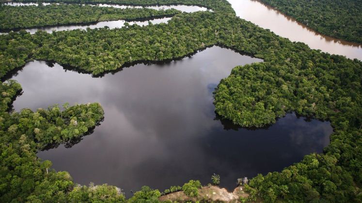 Gobierno de Brasil quita la protección a una vasta reserva del Amazonas para la explotación minera