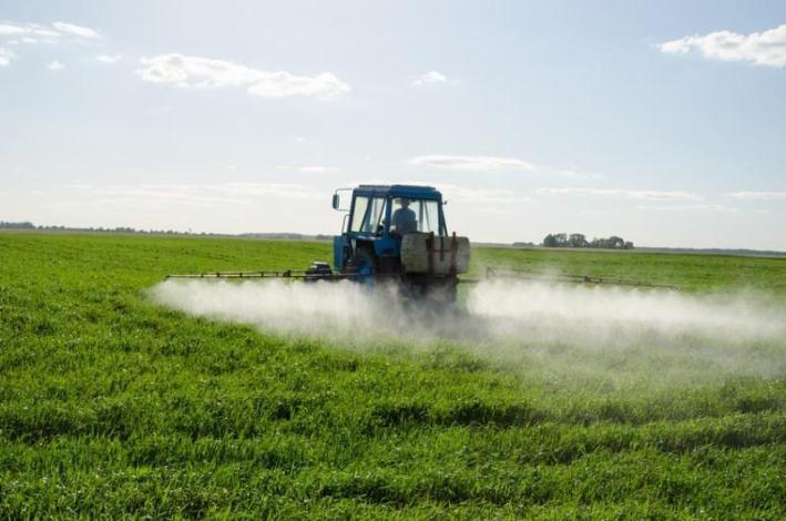 Pequeños productores agrupados en el Mucech piden limitar el uso de agroquímicos y transgénicos