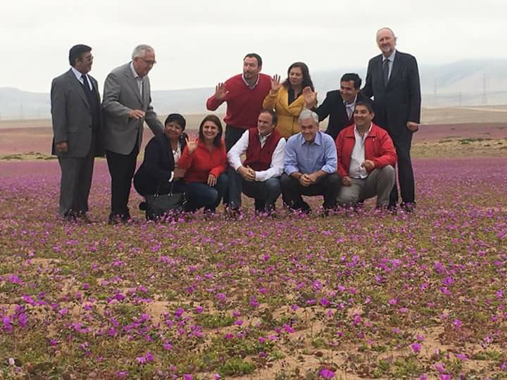 Flor de candidato: Duras críticas a Piñera por foto sobre «Desierto Florido»