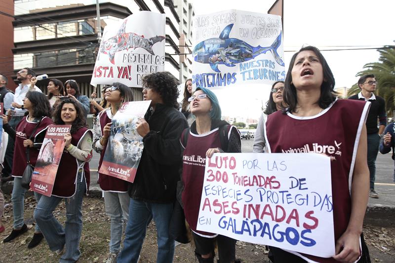 Ecuador: Más de un centenar de personas protestaron frente a la embajada China por pesca ilegal en Galápagos