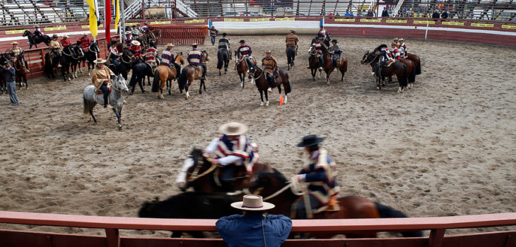 Triunfo animalista: Este año Ñuñoa no tendrá rodeo en el Estadio Nacional