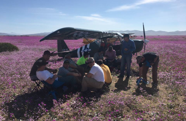 Las explicaciones de los aviadores que aterrizaron sobre desierto florido