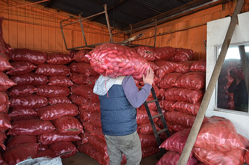 Ley del Saco: Trabajadores no podrán cargar más de 25 kilos