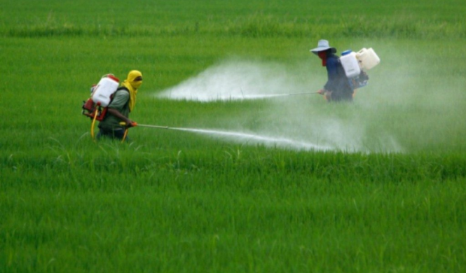 Francia confirma que prohibirá el herbicida glifosato aunque lo autorice Europa