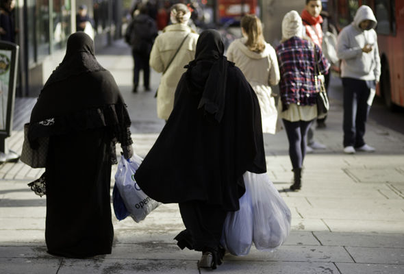 Austria prohíbe el burka y gobierno pide a policías tratar el asunto «con delicadeza»