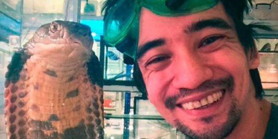 Hombre transmite su muerte al dejar que lo mordiera una serpiente mamba negra