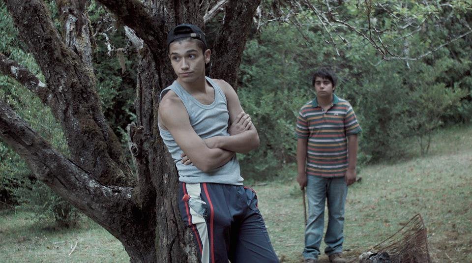 Película mapuche obtuvo importante reconocimiento en festival argentino