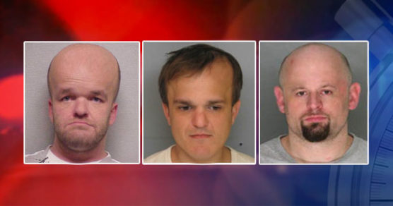 Arrestaron a 3 miembros de una mafia de enanos en Boston. Se metían a las casas por las puertas de mascotas