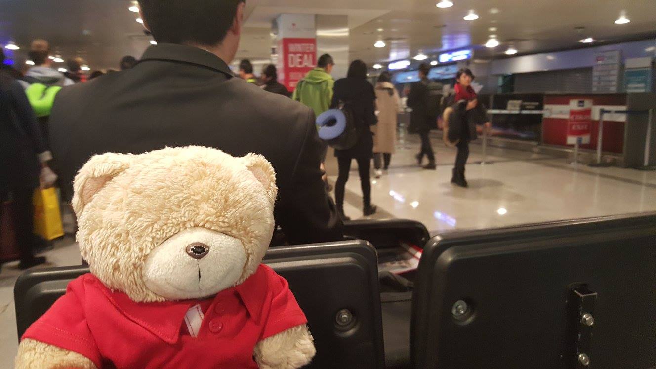 «Si encuentran mi oso de peluche les recompensaré»: La desesperada búsqueda de una turista singapurés en Chile