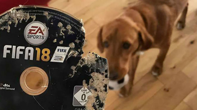 Su perro se come el ‘FIFA 18’ para PS4 antes de que pudiera estrenarlo