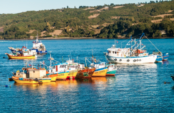 Reineteros de Dalcahue podrían bloquear canal de Chacao si no se restringe pesca de arrastre