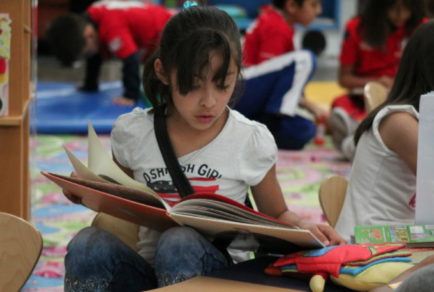 Nuevo libro para niños recorre las culturas mapuche, aymara, selknam, pehuenche y guaraní