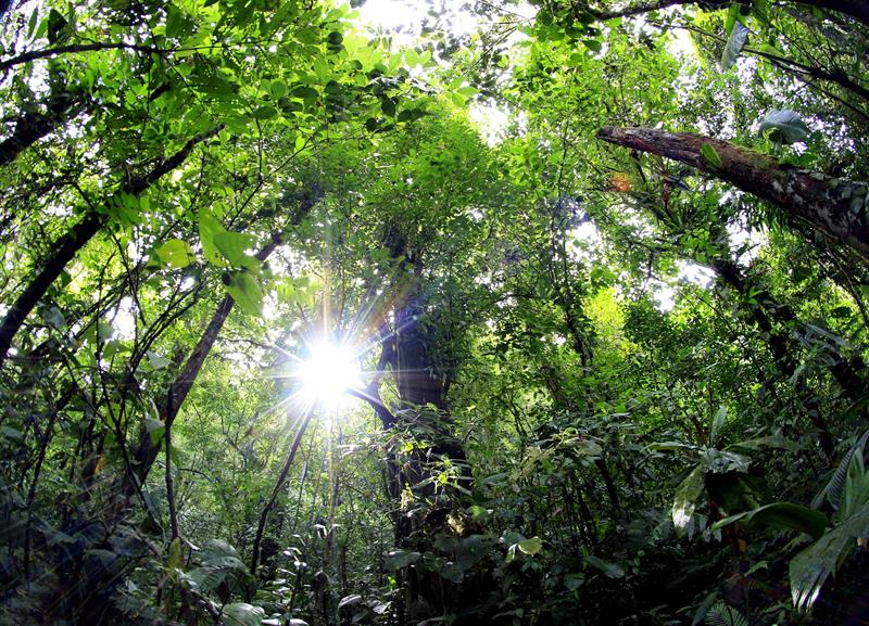 Costa Rica se mostrará como un ejemplo de turismo sostenible en próximo congreso mundial