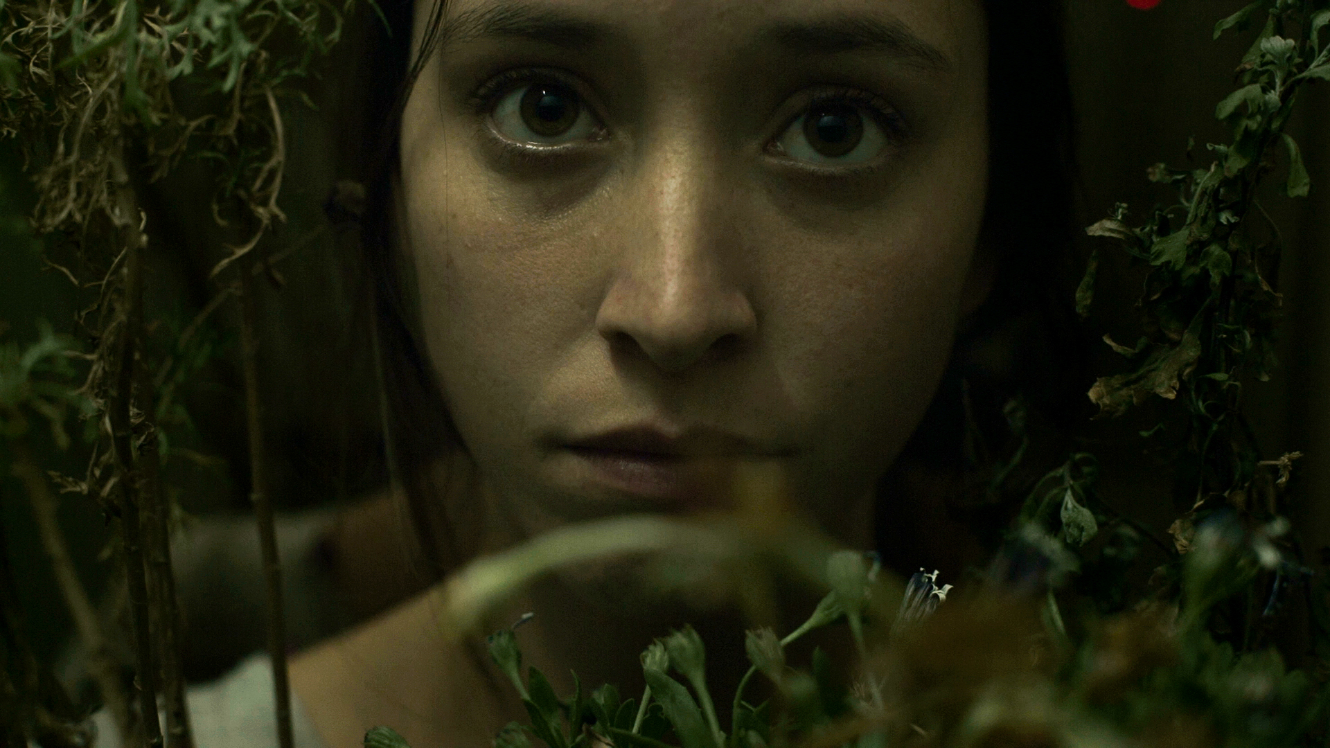 “Días de Cleo”, una película chilena sobre la superstición y la paranoia