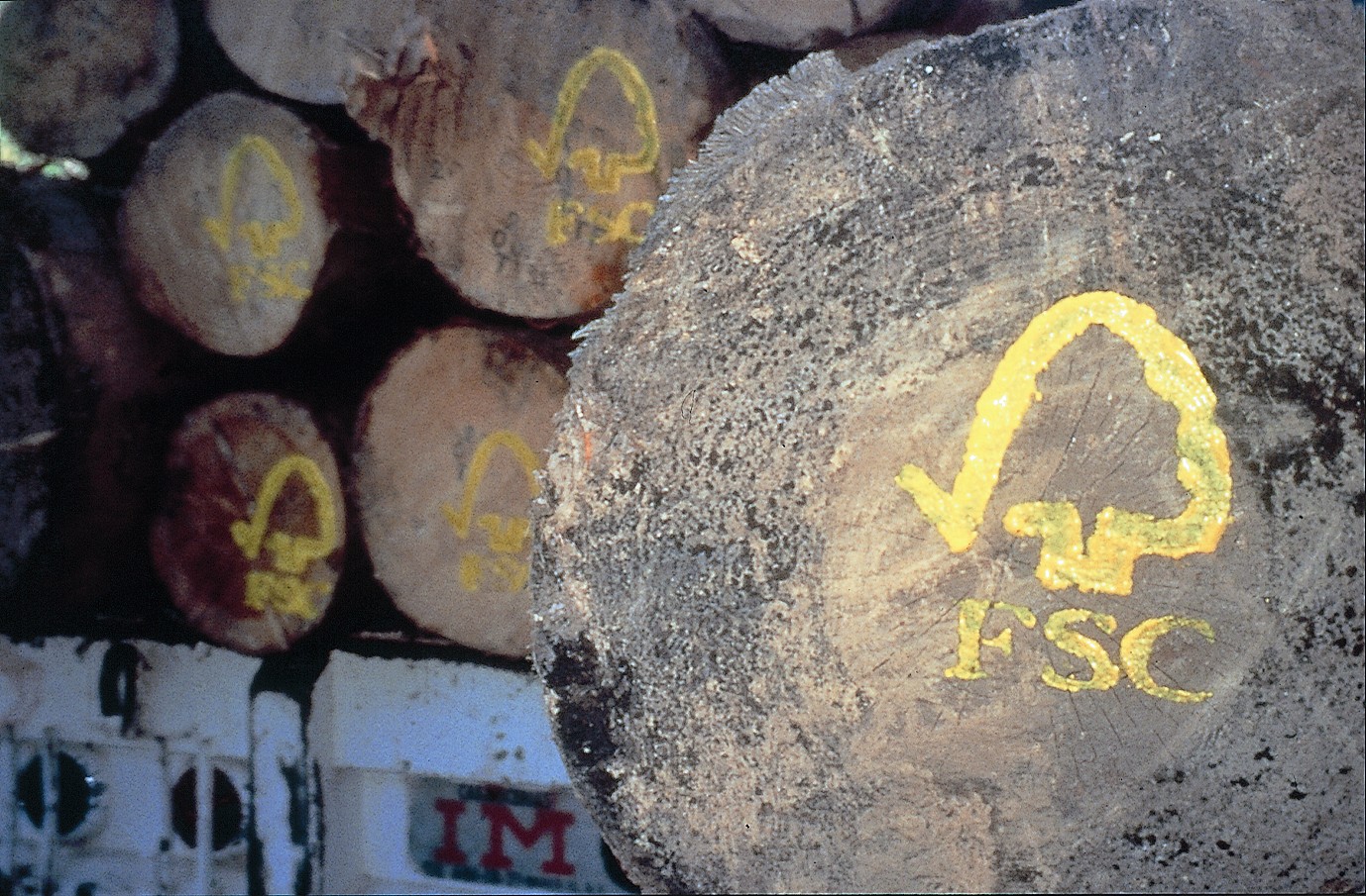 Emplazan a sello internacional FSC por su complicidad en los negativos impactos de la industria forestal en Chile