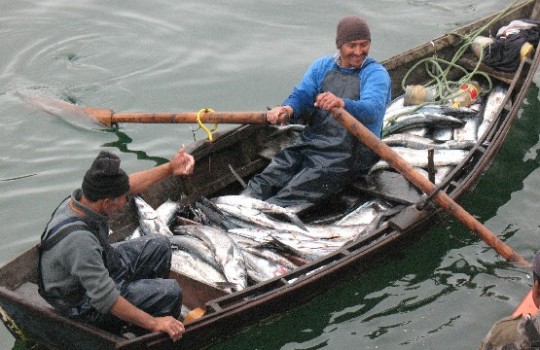 Pescadores Artesanales aplauden: “Derrocamos a la bancada de las siete familias”