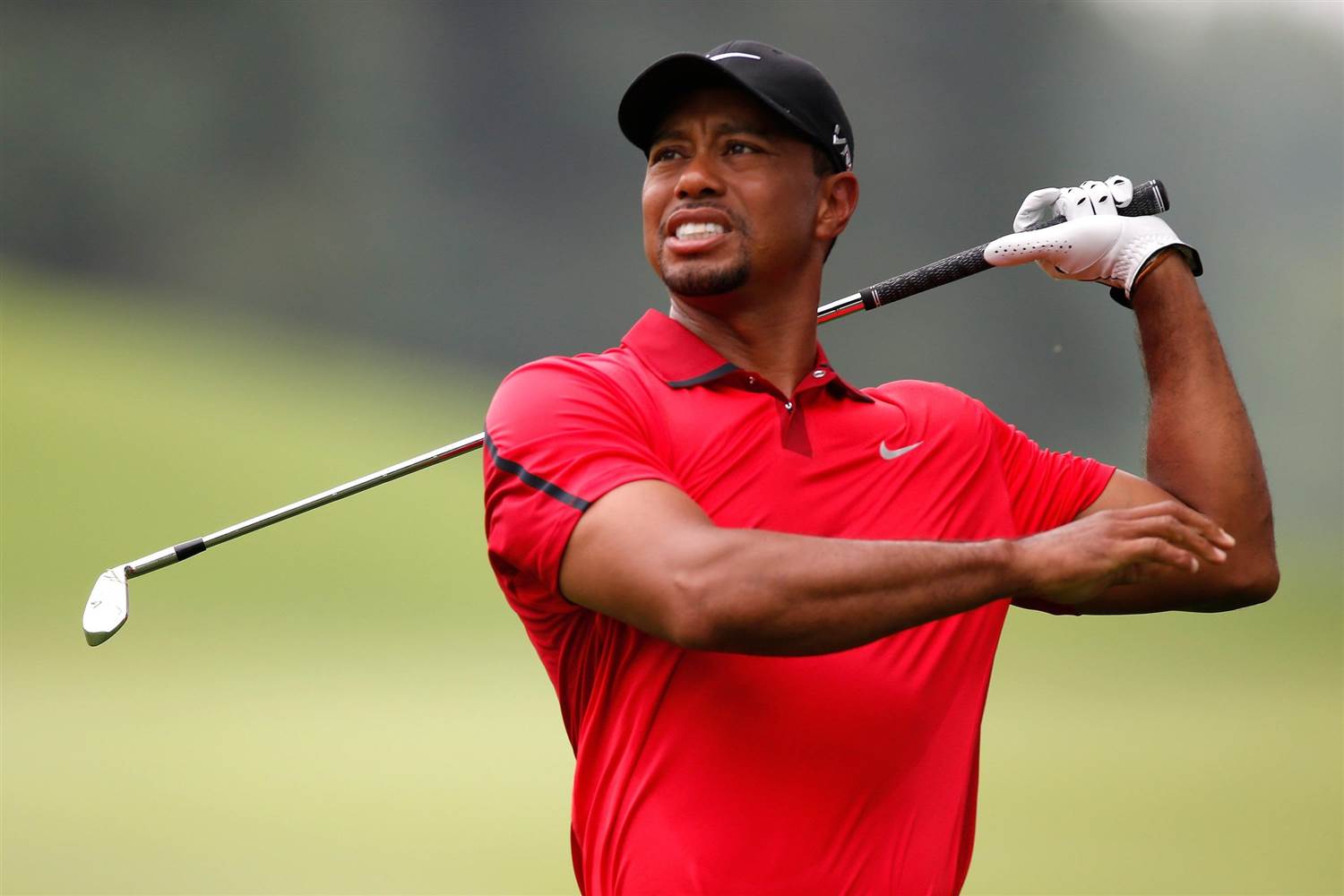 Tiger Woods anuncia su regreso: el 30 de noviembre en el Hero World Challenge