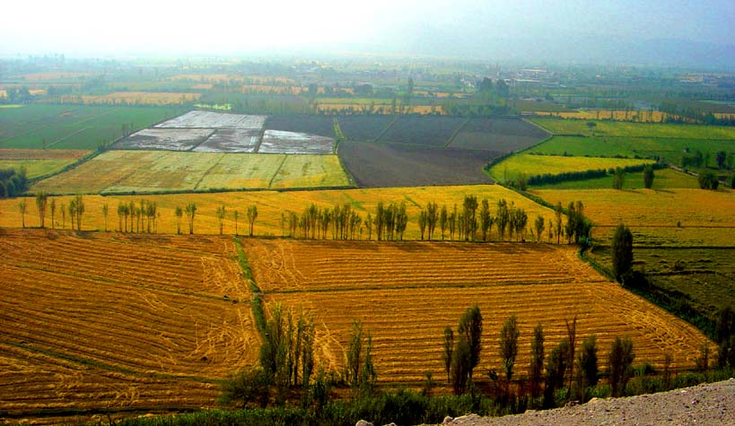 El lucrativo negocio del acaparamiento de tierras