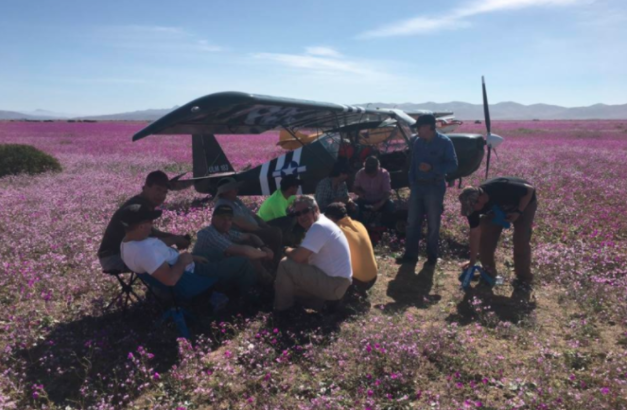 DGAC citará a pilotos que aterrizaron en desierto florido para hacer picnic