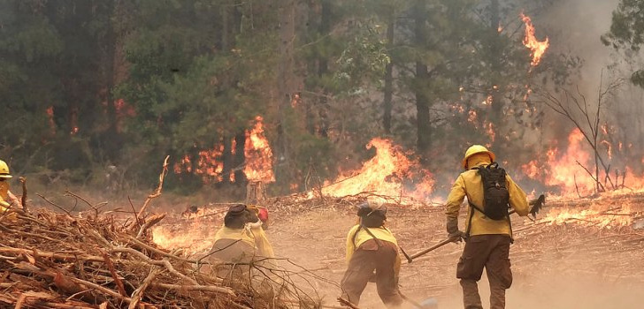 Gobierno decreta alerta amarilla entre regiones de Valparaíso y Maule por incendios forestales