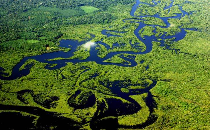 Gran proyecto de reforestación plantará más de 73 millones de árboles en la Amazonia