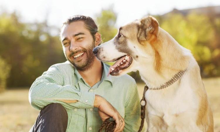 Tener un perro disminuye el riesgo de ataque cardíaco y otras enfermedades mortales