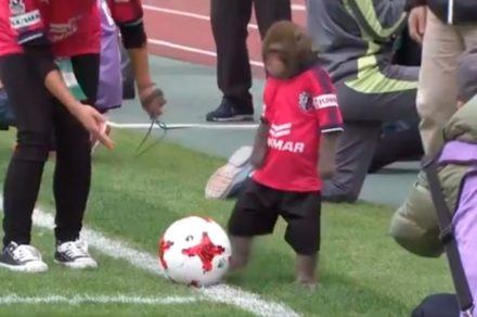 VIDEO: Polémica en Japón porque quisieron que un mono diera el «puntapié inicial»