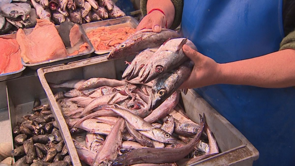 Tras denuncias de insalubridad en Terminal Pesquero Metropolitano, piden implementar «con urgencia» la trazabilidad en los productos marinos