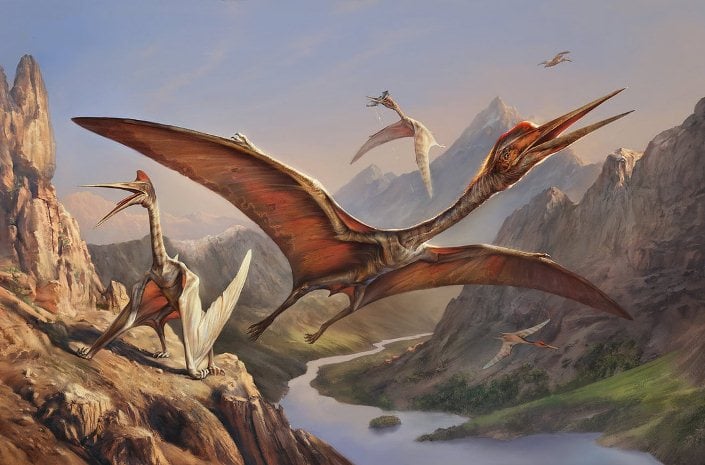 Descubren restos fósiles de un enorme pterosaurio en el desierto de Gobi, Mongolia