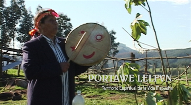 Sitio sagrado Mapuche en manos de una forestal: Estrenarán documental que retrata su recuperación