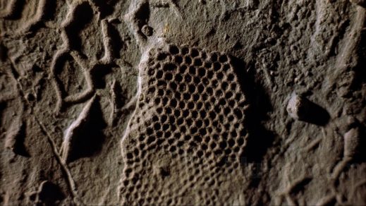 Estos son algunos fenómenos misteriosos que la ciencia jamás ha logrado explicar