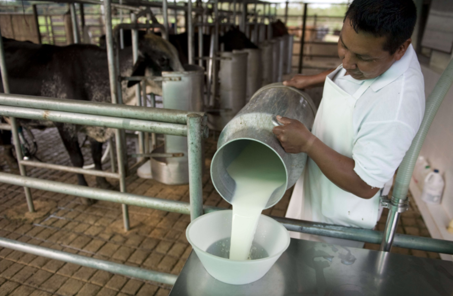 Tirón de orejas para empresa láctea por descarga de ilegal en el Lago Llanquihue