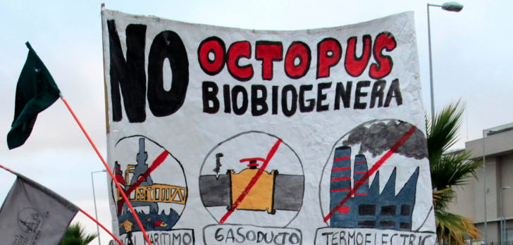 Organizaciones ambientalistas: “Octopus se cae pedazos”