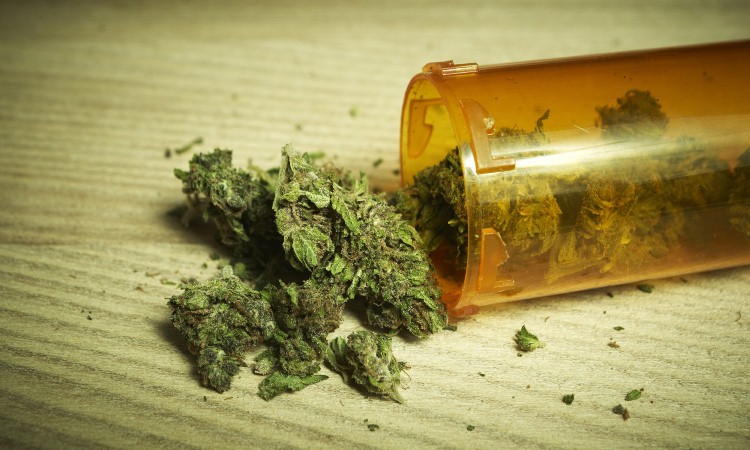 OMS deja a la marihuana medicinal fuera de la lista de drogas bajo control estricto