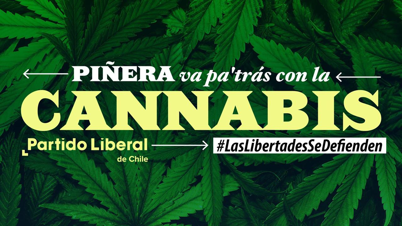 Partido Liberal lanza campaña pro libertades civiles y advierte retroceso conservador con Piñera