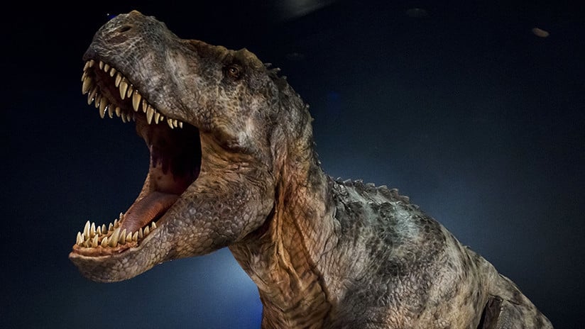 Recrean luego de 66 millones de años el rugido del dinosaurio más temible Recrean luego de 66 millones de años el rugido del dinosaurio más temible